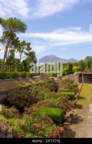 View of ruins ancient city destroyed by the eruption of the volcano Vesuvius in 79 AD near Naples, Pompeii, Italy. In the background the volcano Vesuv Stock Photo