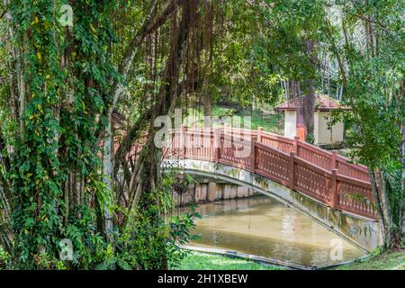 Small beautiful brown Bridge over the lake and river Tasik Perdana in the Perdana Botanical Gardens in Kuala Lumpur, Malaysia. Behind tropical trees. Stock Photo