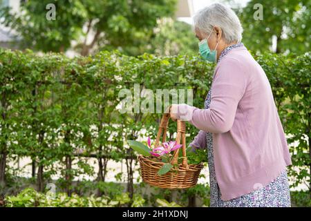 Asian senior or elderly old lady woman taking care of the garden work in home, hobby to relax and exercising with happy. Stock Photo