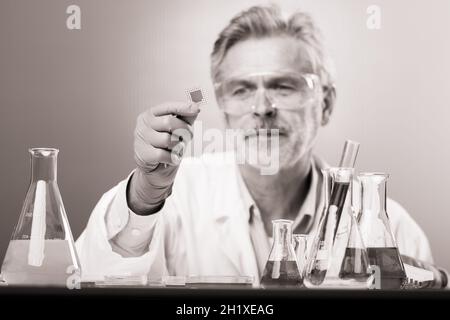 Senior life science research researching in modern scientific laboratory. Focused senior life science professional holding and observing the micro chi Stock Photo