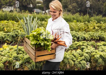 Smiling young chef carrying a crate full of freshly picked vegetables on an organic farm. Self-sustainable female chef leaving an agricultural field w Stock Photo