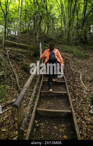Detail of path in the forest with wooden railings for pedestrians Stock Photo