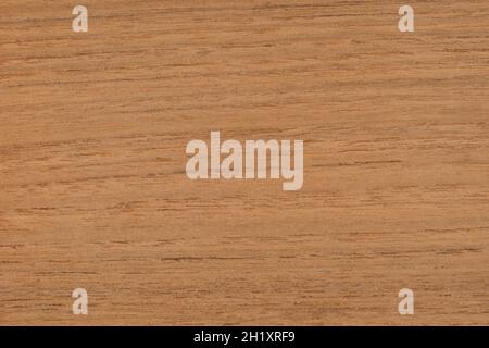 Teak Exotic wood panel texture pattern Stock Photo