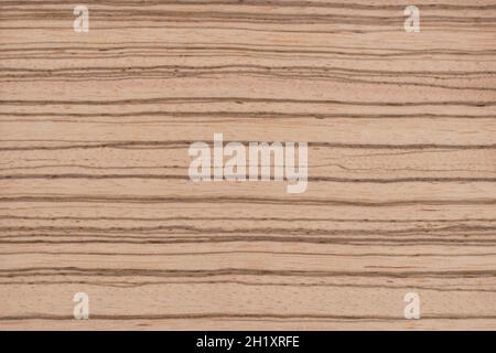 Zebrano Exotic wood panel texture pattern Stock Photo