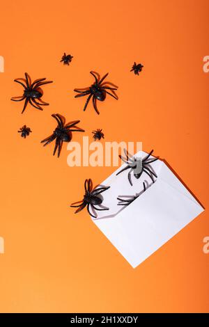 Composition of halloween decorations with black spiders and envelope on orange background Stock Photo