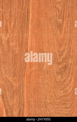 Close Up Old Plywood Texture Background. Stock Photo