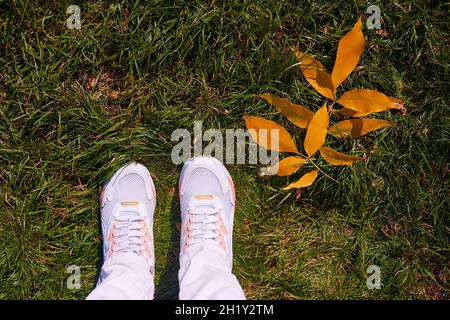 feet on green grass with yellow leaves with copy space. Top view fall background. woman legs in sneakers on withered grass.vacation or autumn holidays Stock Photo