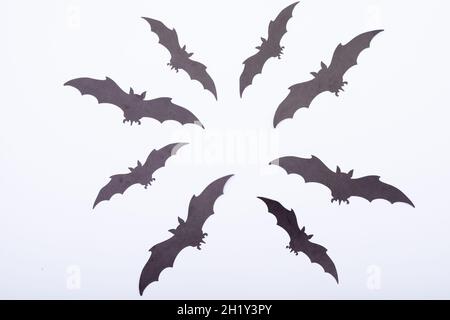 Composition of multiple halloween black bats flying on white background Stock Photo