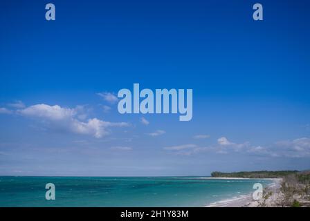 View along unspoilt white sandy beach fringed with mangrove trees and out across aquamarine sea under clear blue sky. Cayo Levisa, Pinar del Rio, Cuba. Stock Photo