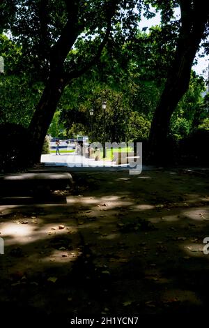 Dark shade view from the tress in the Paseo del Prado, in Madrid, Spain. Stock Photo