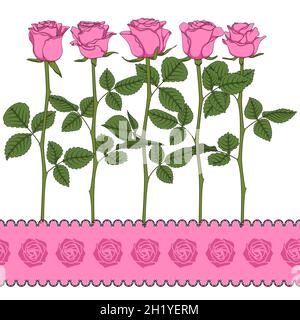 Set of color illustrations with pink roses. Isolated vector objects on white background. Stock Vector