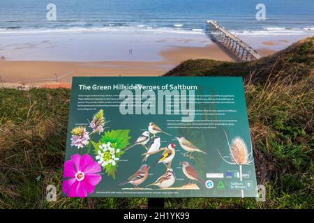 The Green Hillside Verges of Saltburn, North Yorkshire, England Stock Photo