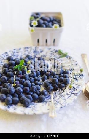 Fresh blueberries on a floral-patterned plate Stock Photo
