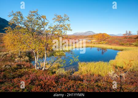 Beautiful, vivid autumn colors in remote arctic landscape. Wild nature of Stora Sjofallet national park, Sweden. Remote wilderness on sunny autumn day Stock Photo