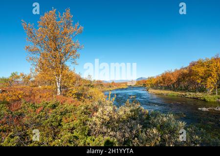 Beautiful, vivid autumn colors in remote arctic landscape. Wild nature of Stora Sjofallet national park, Sweden. Remote wilderness on sunny autumn day Stock Photo