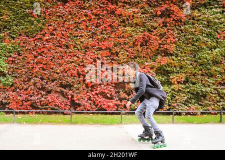 Westminster, London, UK. 19th Oct, 2021. A rollerblader rides past the colourful wall. The virginia creeper (Parthenocissus quinquefolia) at the Admiralty Citadel near Horseguards Parade is slowly turning to its vibrant red and orange autumn colours, on a very mild day in London with temperatures around 19 degrees. Credit: Imageplotter/Alamy Live News Stock Photo