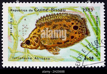GUINEA-BISSAU - CIRCA 1983: a stamp printed in Guinea-Bissau shows Leopard Bush Fish, Ctenopoma Acutirostre, Freshwater Fish, circa 1983 Stock Photo