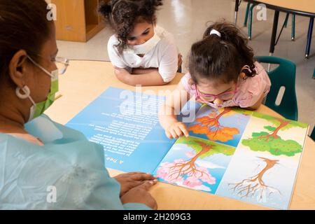 Education Preschool 3-4 year olds teacher looking at picture book depicting the seasons with two girls, one child pointing at picture of tree in sprin Stock Photo
