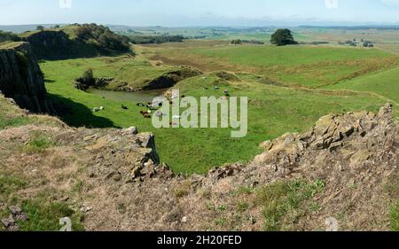 View from east of Cawfields Quarry on Hadrians Wall in Northumberland National Park England. Stock Photo