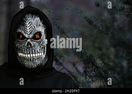 Close-up portrait of grim reaper. Man in death mask with fire flame in eyes on dark black nature juniper plant background. Carnival costume, creepy Stock Photo