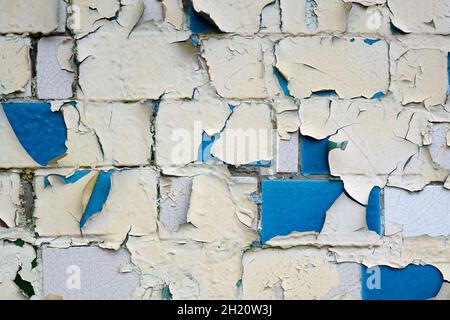 The brick wall is blue and beige. Painted wall with old peeling paint close-up. The background of the wall with the paint burnt out in the sun. Textur Stock Photo