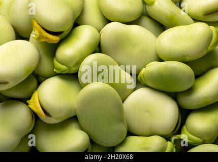 Close up photo of broad beans. Stock Photo