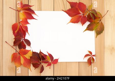 Autumn frame of leaves on a white sheet of paper. Autumn theme mockup. Red leaves on a background of wooden boards. Stock Photo