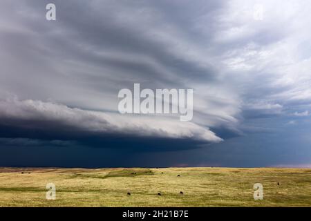 Shelf cloud (arcus) ahead of an approaching storm near Glendive, Montana Stock Photo