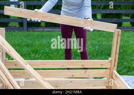 a woman is building a wooden fence or keep on tarp in her backyard. A concept for wood work. Furniture installation DIY project. She wears gloves to p Stock Photo