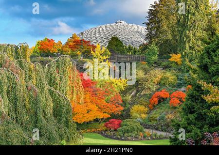 Autumn, Quarry Garden, Queen Elizabeth Park, Vancouver, British Columbia, Canada Stock Photo