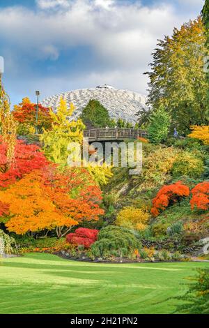 Autumn, Quarry Garden, Queen Elizabeth Park, Vancouver, British Columbia, Canada Stock Photo