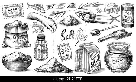 Sea salt set. Glass bottles, packaging and and leaves, wooden spoons, powdered powder, spice in the hand. Vintage background banner. Engraved hand Stock Vector