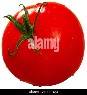 One red tomato on white background Stock Photo