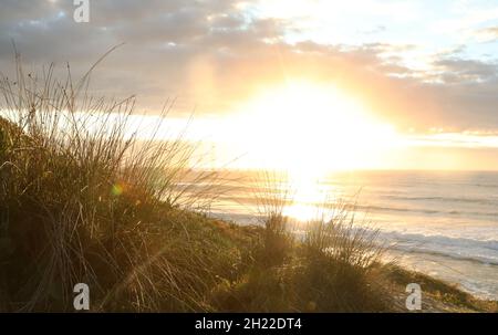 A view at sunrise through natural grasses and reeds over the ocean looking North East from Lake Cathie on the beautiful Mid North Coast of New South W Stock Photo
