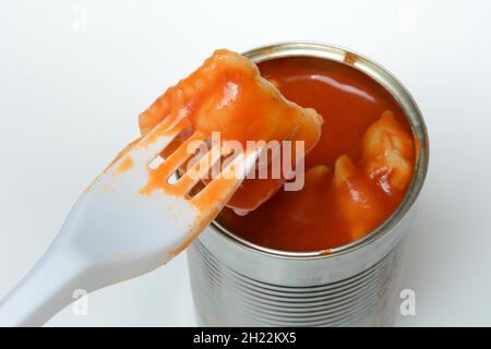Ravioli in tin and plastic fork, ready meal with fork Stock Photo