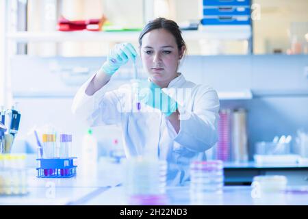 Lab technician pipetting a sample in the lab, Freiburg, Baden-Wuerttemberg, Germany Stock Photo
