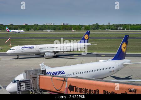 Aircraft, Lufthansa, Apron, Airport, Tegel, Reinickendorf, Berlin, Germany Stock Photo