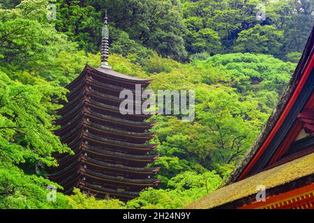 Tanzan Jinja Shrine pagoda, the only 13 storey one in existence, Nara, Japan. Stock Photo