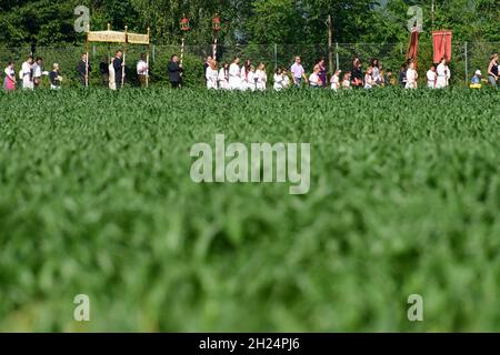 Fronleichnamsprozession in Rüstorf, Schwanenstadt (Bezirk Vöcklabruck, Oberösterreich, Österreich) - Corpus Christi procession in Rüstorf, Schwanensta Stock Photo