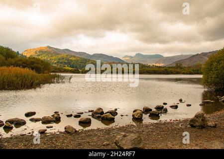Beautiful Elter Water, on the River Bratha, with Lingmoor Fell in the distance, Lake District National Park, Cumbria, England, UK Stock Photo