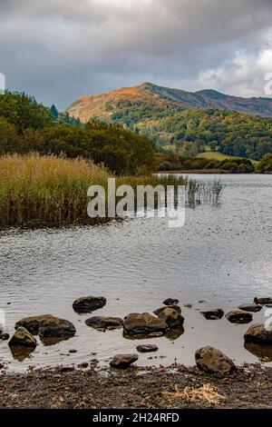 Beautiful Elter Water, on the River Bratha, with Lingmoor Fell in the distance, Lake District National Park, Cumbria, England, UK Stock Photo