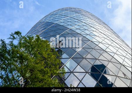 A skyward look up the curved facade of The Gherkin building with a tree in the foreground in City of London, England. Stock Photo