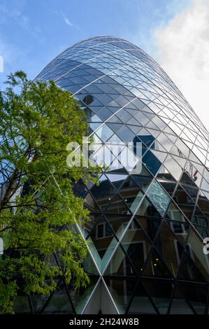A skyward look up the curved facade of The Gherkin building with a tree in the foreground in City of London, England. Stock Photo