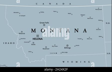 Montana, MT, gray political map with capital Helena. State in the Mountain West subregion of the Western United States of America, Big Sky Country. Stock Photo