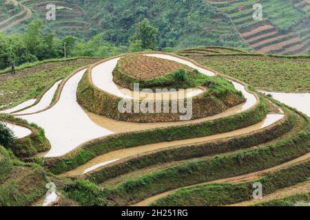 A farmer works to clear the Jinkeng section of the Longshen Rice Terraces in Guangxi, China. Stock Photo