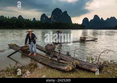 Traditional cormorant fishermen on bamboo rafts with cormorants on the Li River, Xingping, China. Stock Photo