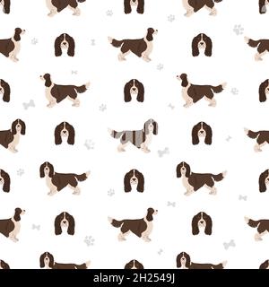 English springer spaniel seamless pattern. Different poses, coat colors set.  Vector illustration Stock Vector