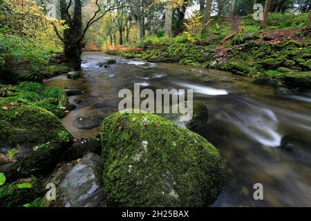 Autumn, Aira Beck near Ullswater, Lake District National Park, Cumbria, England Stock Photo