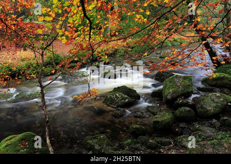 Autumn, Aira Beck near Ullswater, Lake District National Park, Cumbria, England Stock Photo