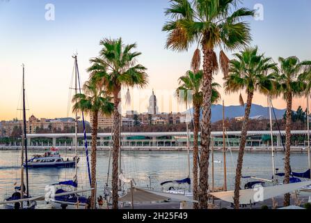 The port of Malaga in the evening with palm trees in the foreground and the Cathedral in the background. Stock Photo